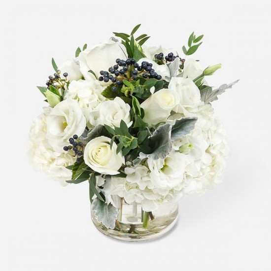 Λευκή Φυτοσύνθεση