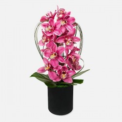 Ροζ Πανδαισία 