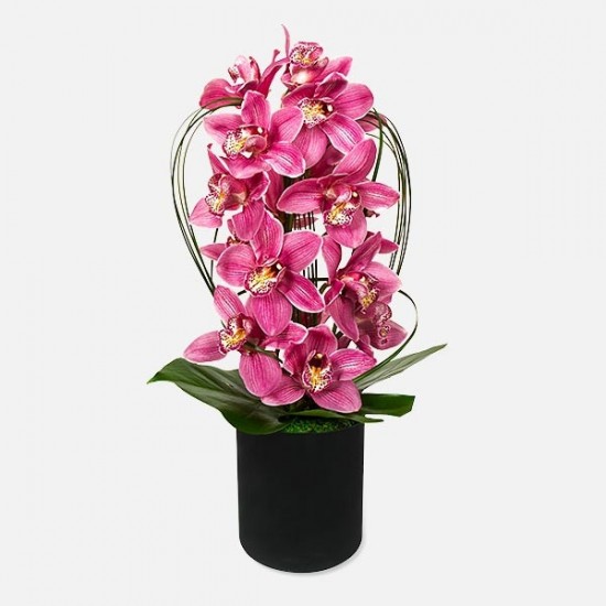 Ροζ Πανδαισία 