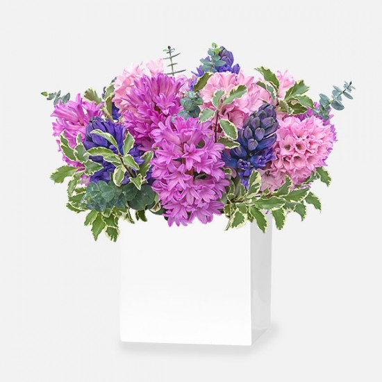 Ονειρούπολη