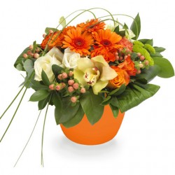 Τριαντάφυλλα - Ζέρμπερες - Χρυσάνθεμα