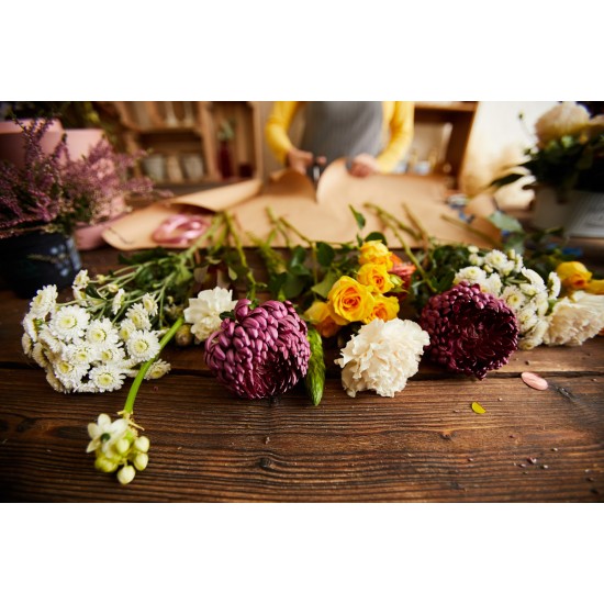 Η Σύνθεσή μου